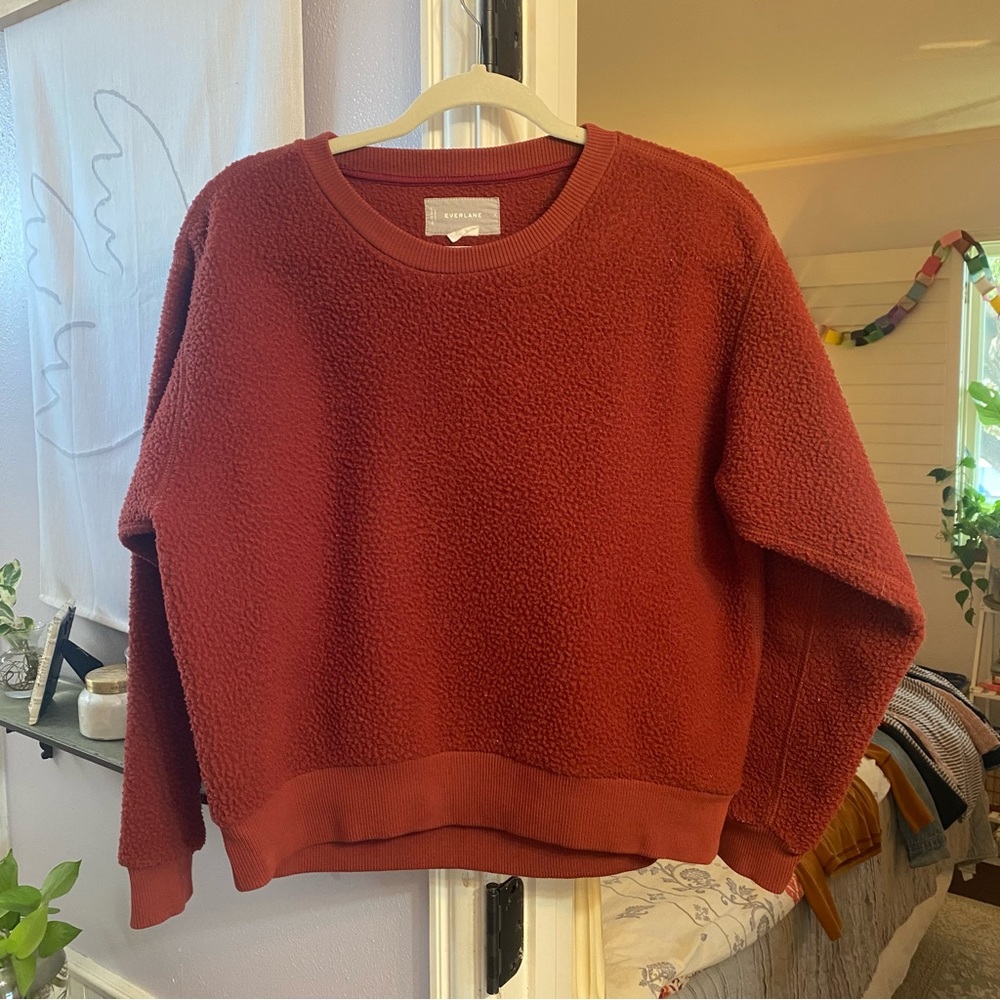 Everlane The ReNew Fleece Pile Oversized Sweatshirt Brick Red